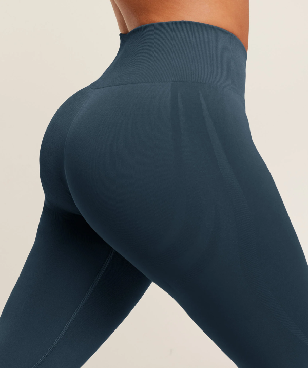 Everyday Seamless Legging 2.0